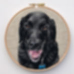Black Lab