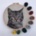 Tabby with wool