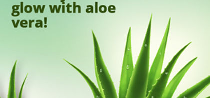 aloevera.jpg