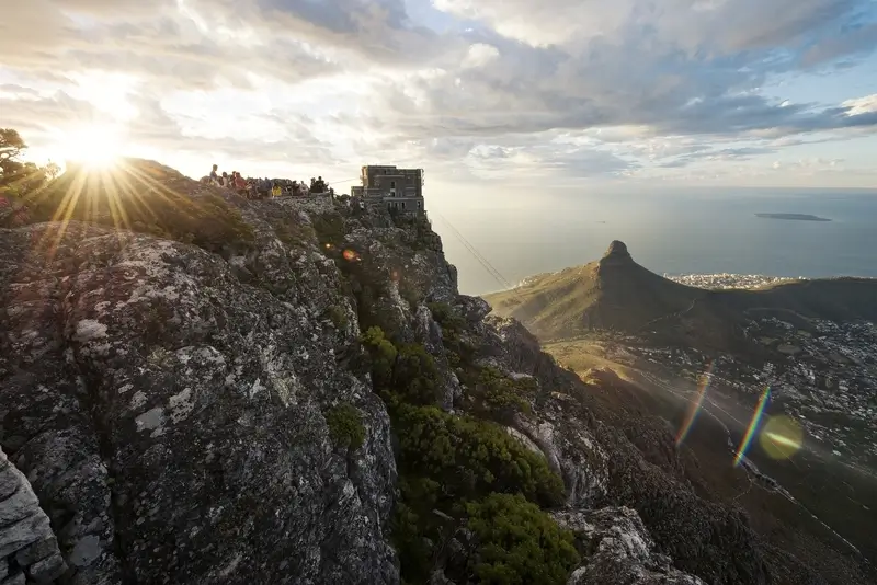 Cape Town Safaris