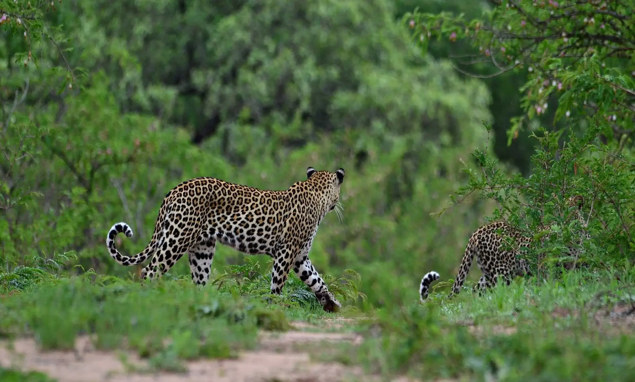 Day trips Kruger