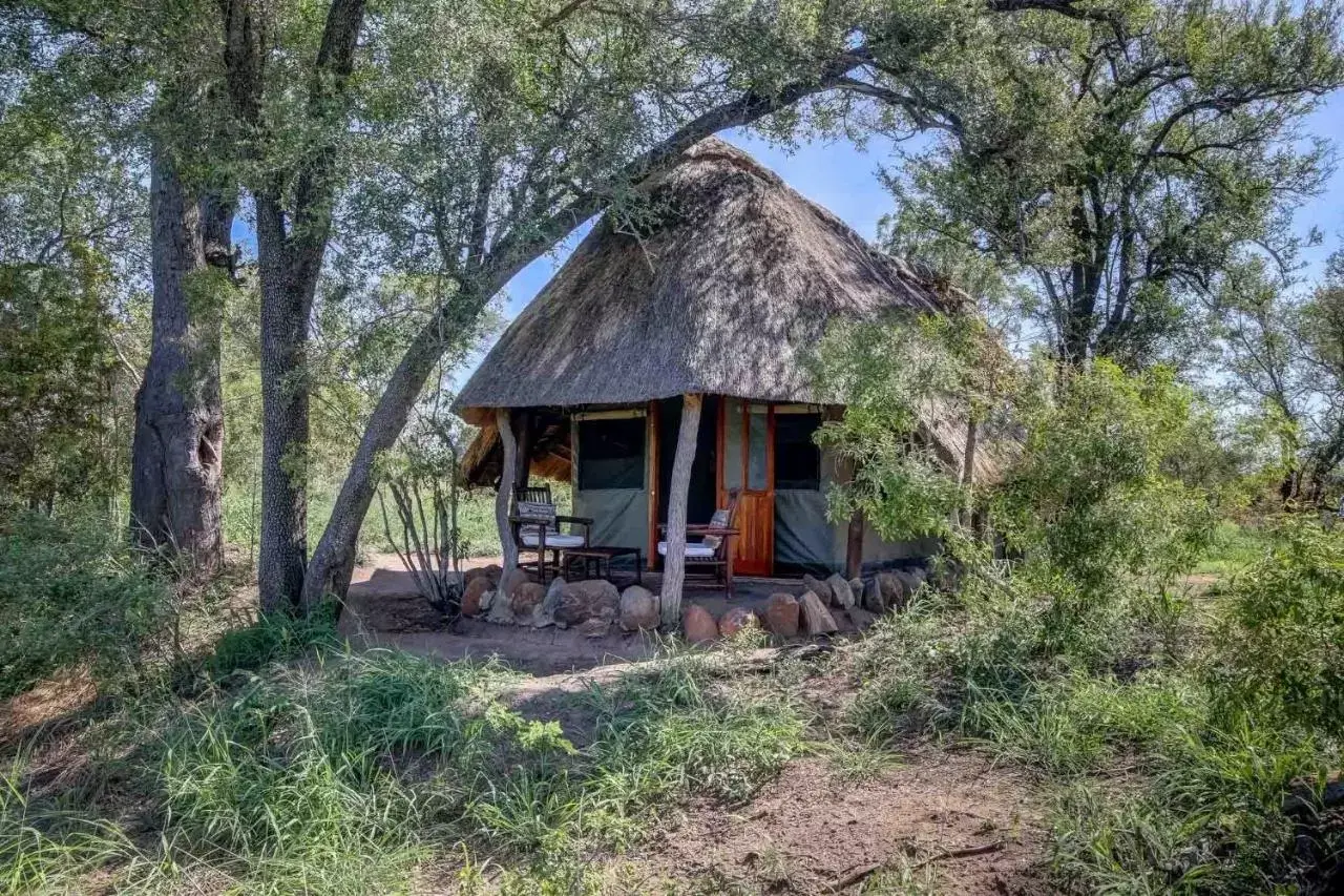 Pungwe Safari Camp Manyeleti Safaris