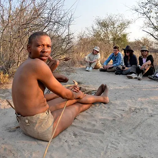 Botswana Tours