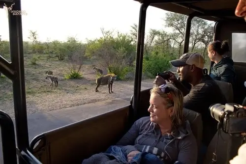 Animals Kruger Safari