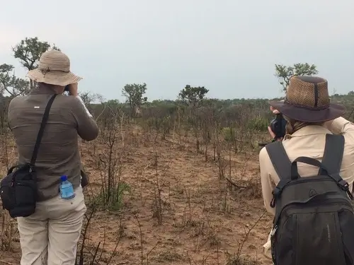 Bush Walk Safaris Kruger National Park