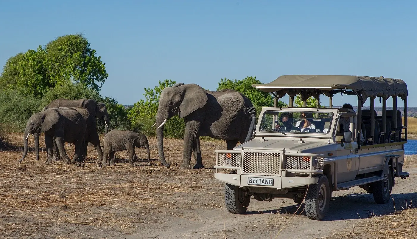 Chobe-Game-Lodge-Game-Drive (1).webp