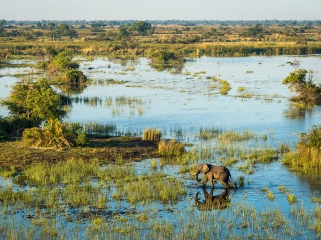 Okavango Delta Tours