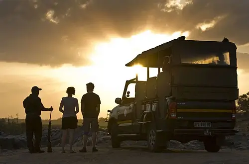 Abendliche Nachtfahrt Kruger Park