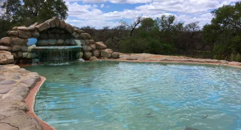 Swimming Pool Pretoriuskop | Kruger Park Safaris