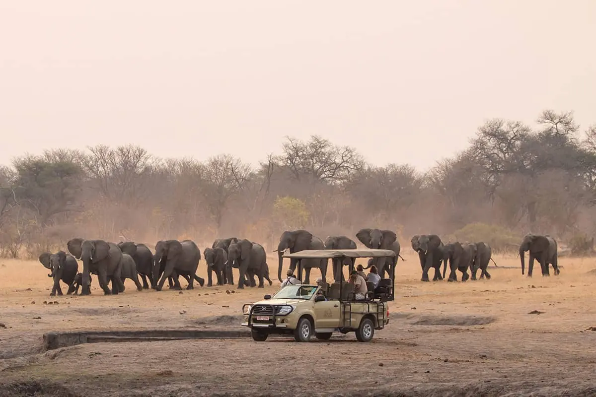Hwange National Park Safaris