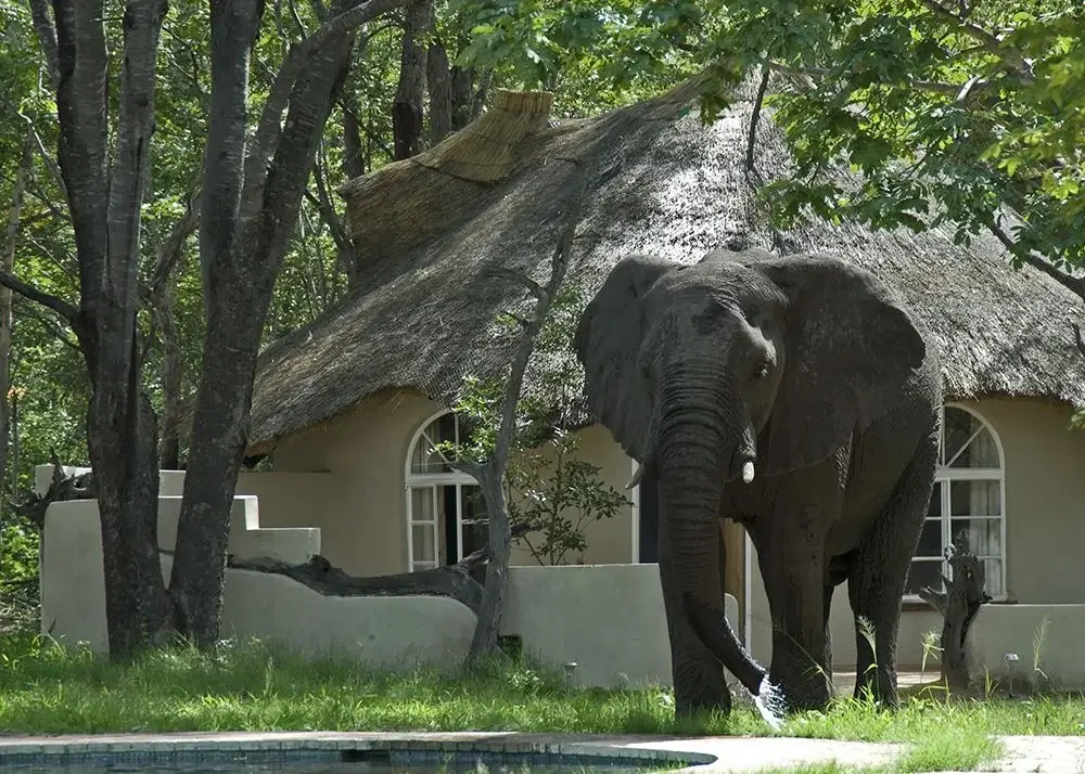 Sable Sands Lodge Hwange