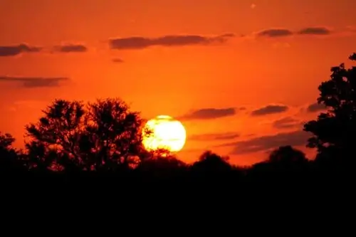 Traditional African Safaris