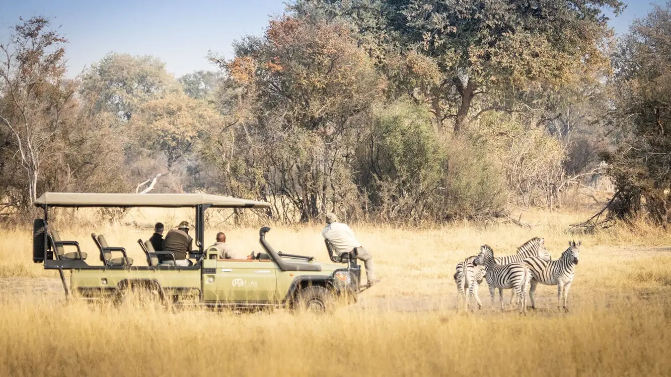 Okavango Delta Game Drives
