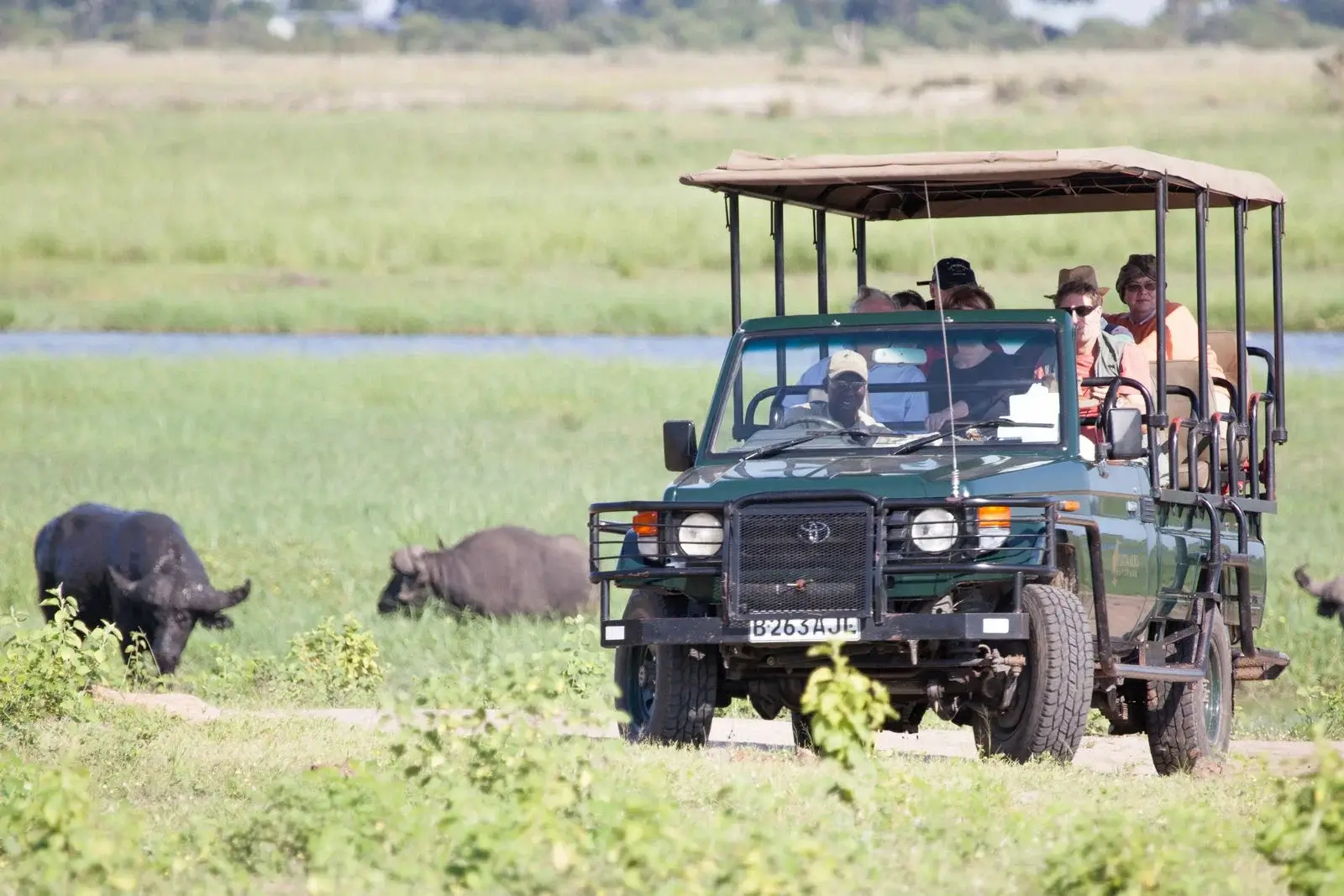 Game Drives in Chobe National Park Botswana