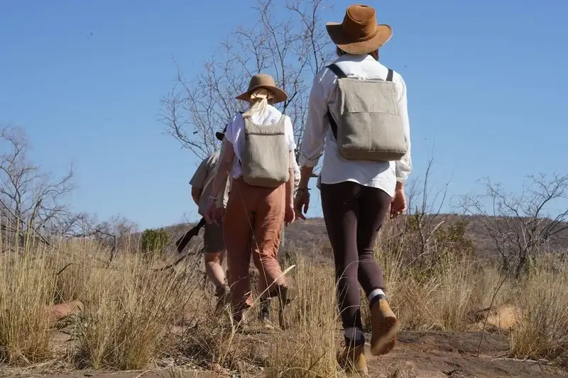 Bushwalk Okavango Delta