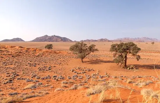 Elim Dune Namibia