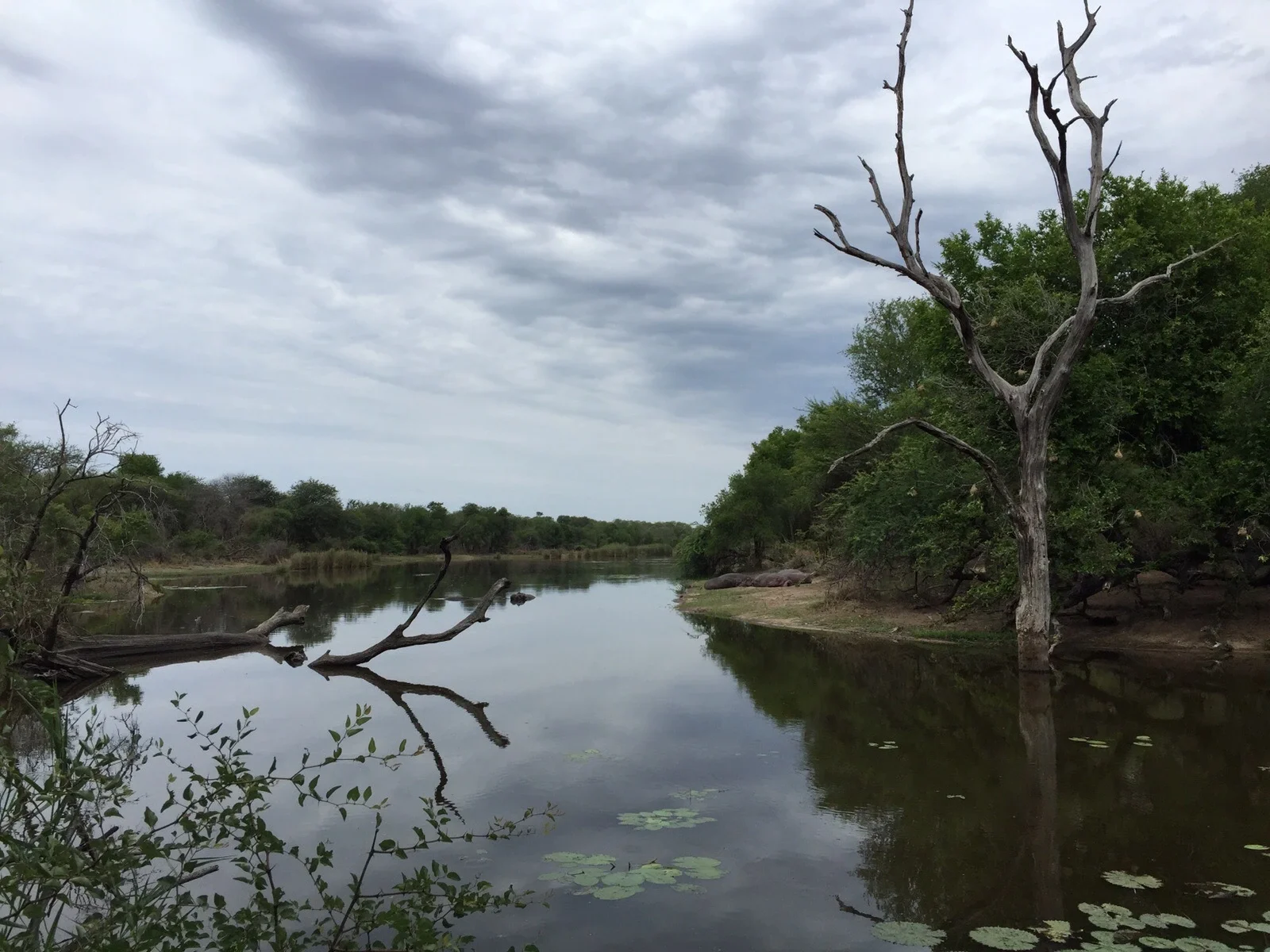 Parc national Kruger Saison humide