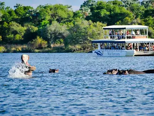 zambezi-sunset-cruise