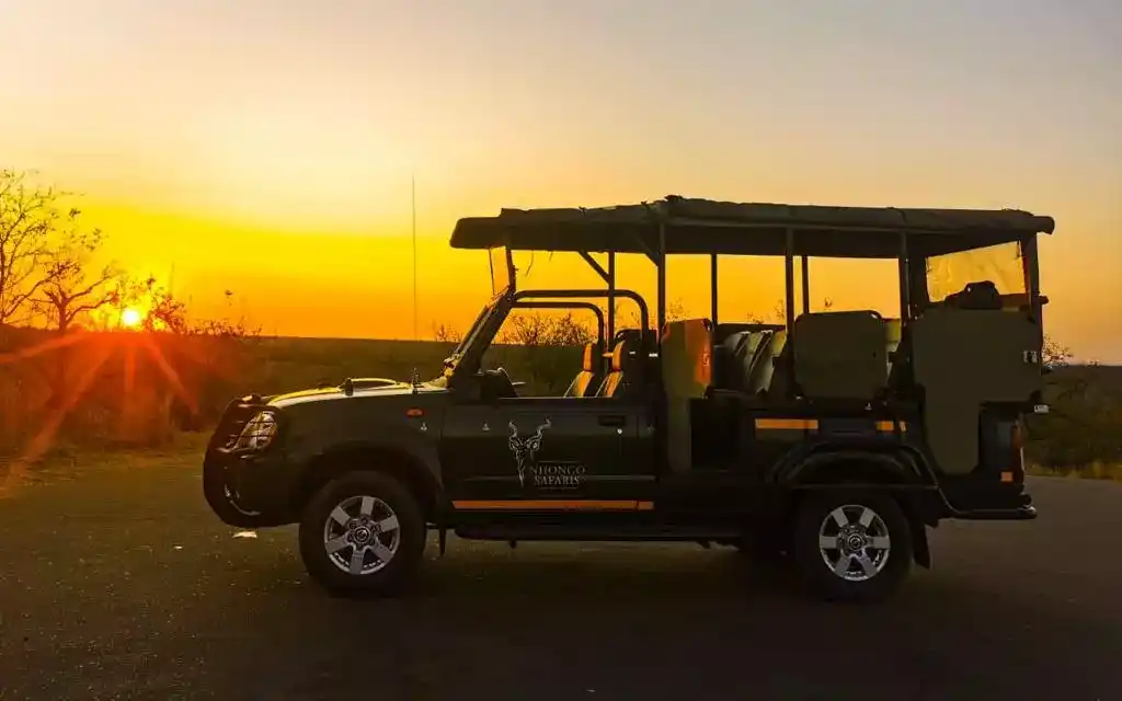 Early Morning Game Drives
