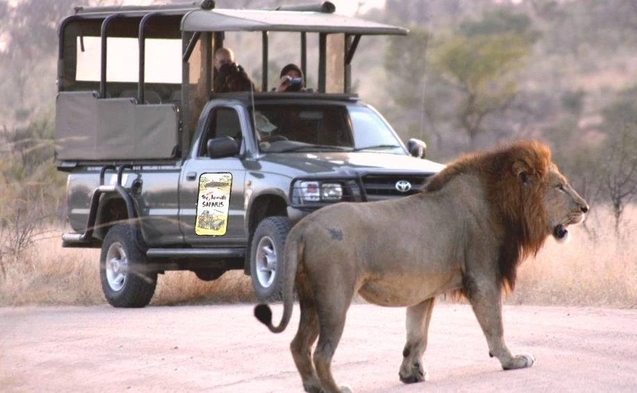 Kruger Nationaal Park