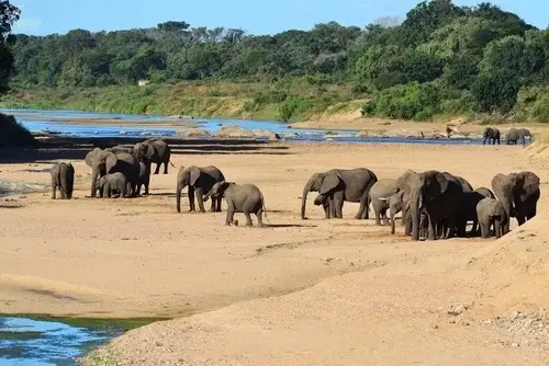 Nature safaris South Africa