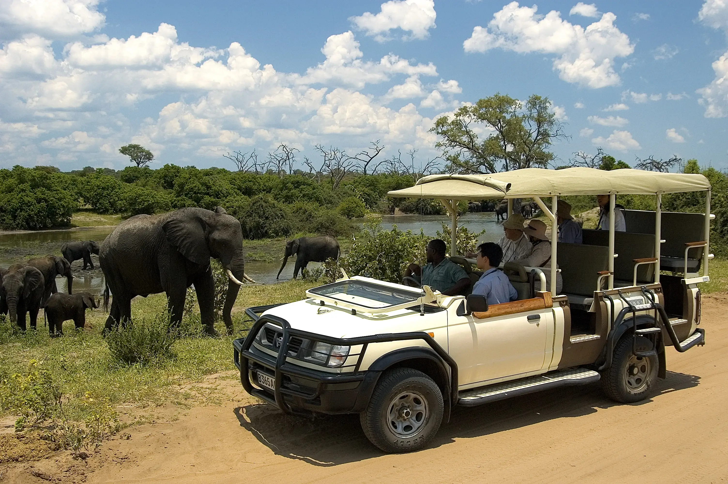Game Drives Africa