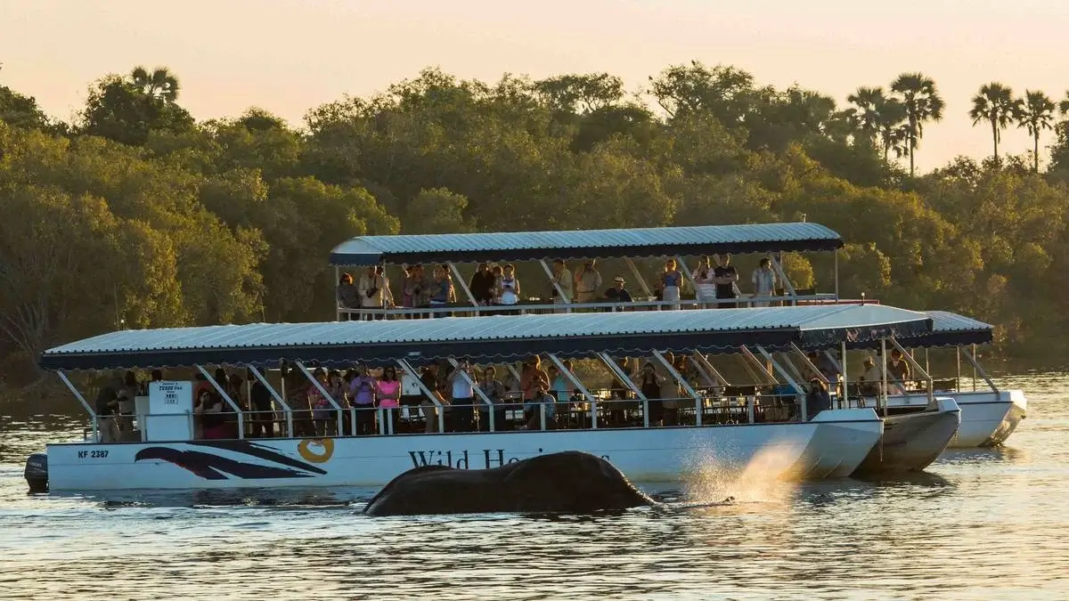 Sunset Cruise Zambezi