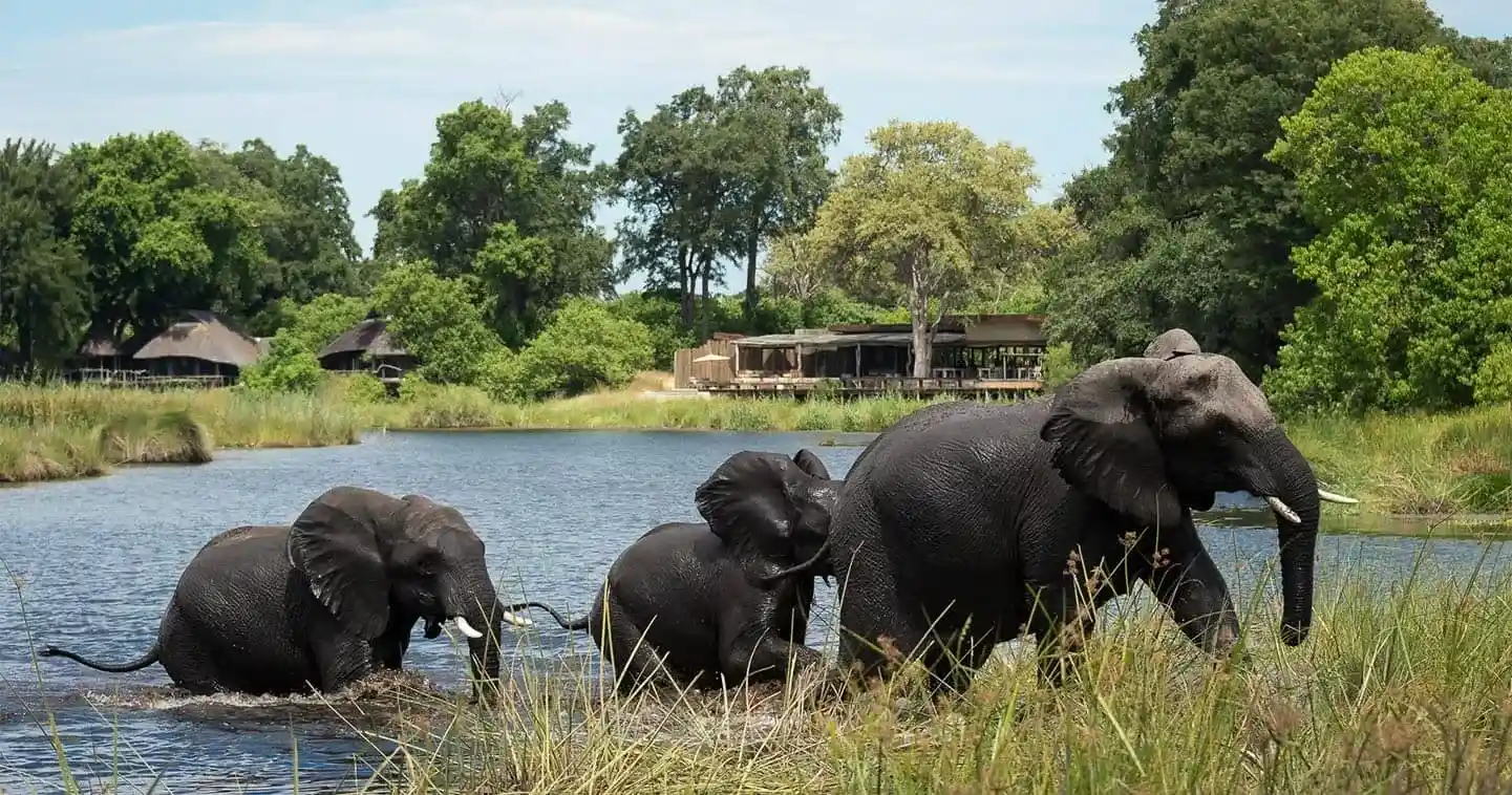 Chobe National Park Botswana