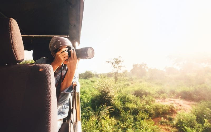 A Safari Journey Through the African Wilderness