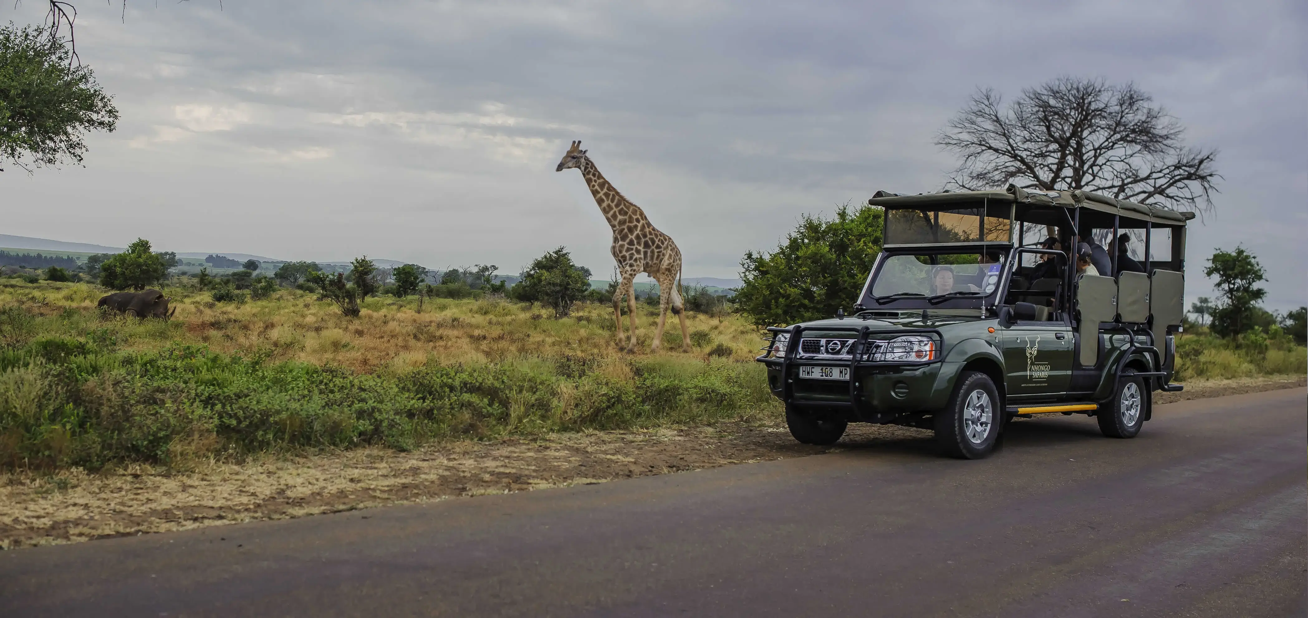 Nhongo Safaris Kruger National Park (1).webp