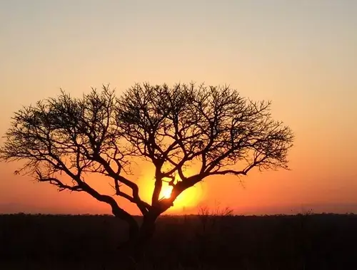 SANParks Kruger National Park