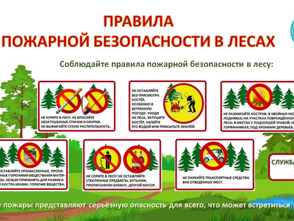 Правила пожарной безопасности в лесу