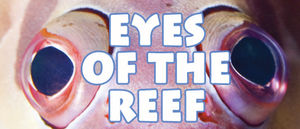 Contact Eyes of the Reef