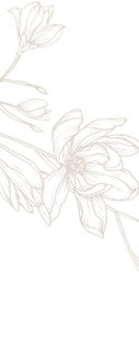 h2-parallax-1-1.webp