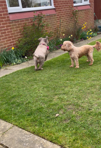 Screenshot 2025-09-01 201937