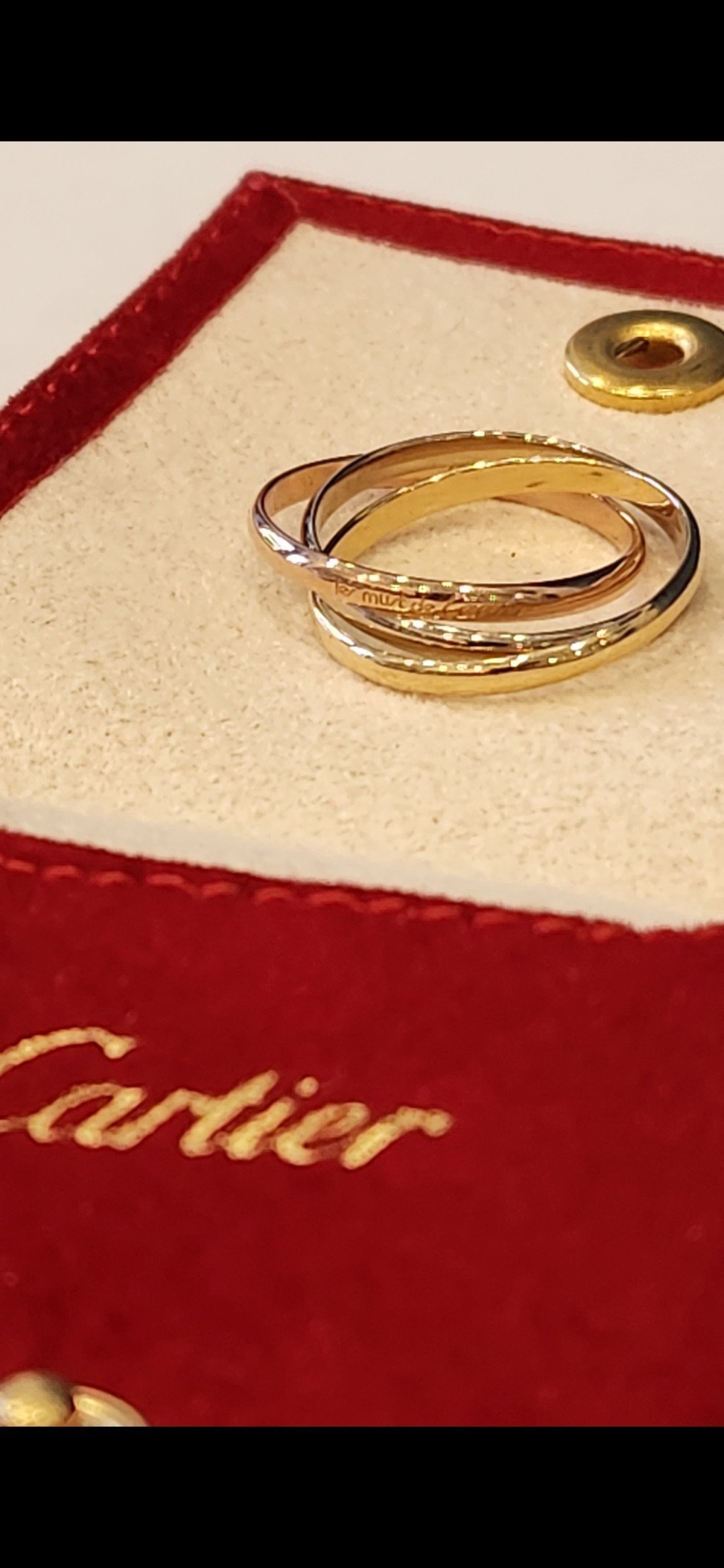 Three interlocking bands — Le Lion d’Or