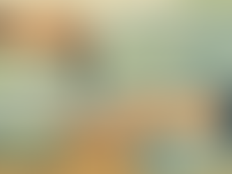 Les erreurs à éviter si tu loues une voiture à l’étranger