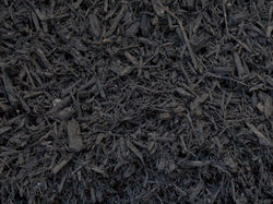 Black Mulch