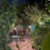 Rota Do Cha Tea Garden 