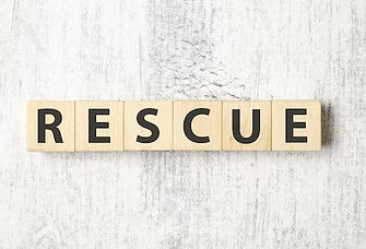 Rescue.jpg