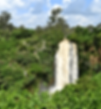 african safari 4294 .png