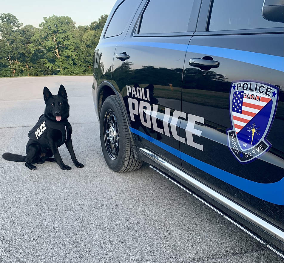 K9 KILO FIXED.png