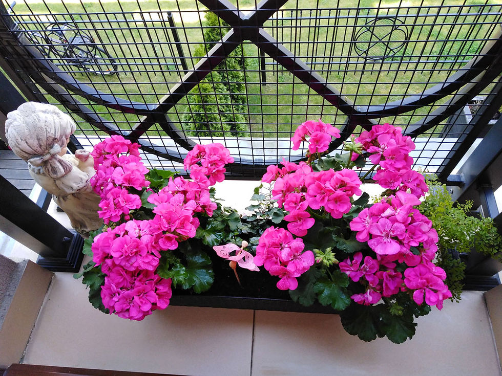balkon 3