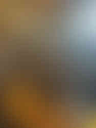 Wedding Belles Love, Wedding Dresses stoke on trent, Wedding Dresses Near Me, Wedding Blog