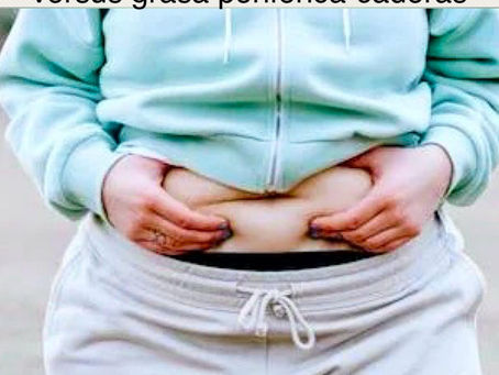 Grasa abdominal-barriga versus grasa periférica-caderas