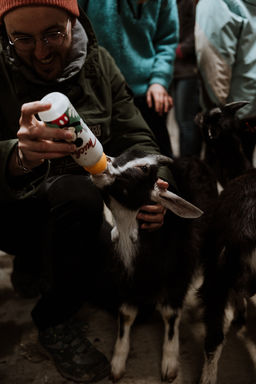 voyageur qui partage le quotidien de la ferme