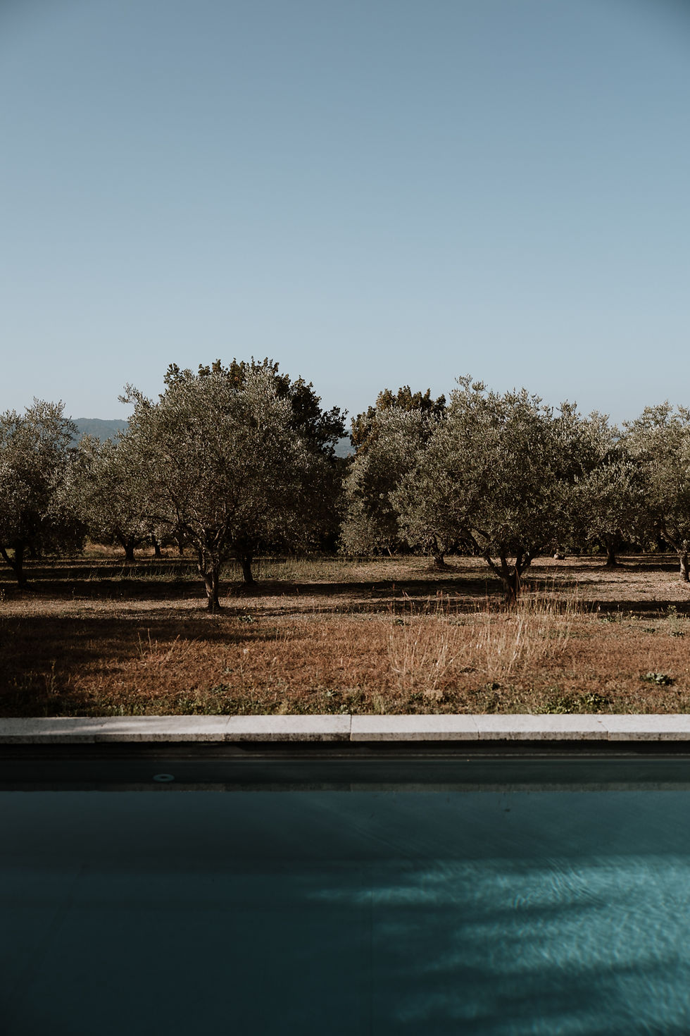 slow tourisme en Provence, réveil face aux oliviers