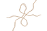logo les liens d'enjoy trip