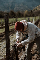 Travail de la vigne par un voyageur lors de sa rencontre avec un vigneron