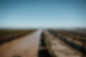 enjoy-trip-sejour-epicurien-ile-de-re-210.jpg